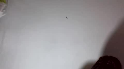 amelisy20005 online show from February 22, 2026, 6:46 am