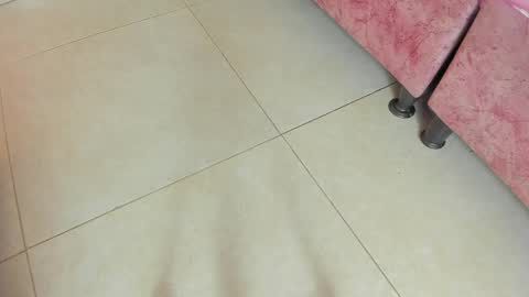 Snapshot of amy__rose__ chatting on May 19, 2026, 3:02 am amy__rose__ online show from May 19, 2026, 3:02 am