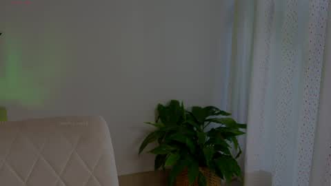 anabelcurvy online show from May 13, 2026, 6:38 pm