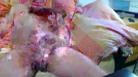 Andi online show from November 20, 2025, 4:34 am