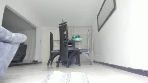 Snapshot of andresgiraldo1 chatting on January 31, 2025, 2:37 am Isa --------- online show from January 31, 2025, 2:37 am