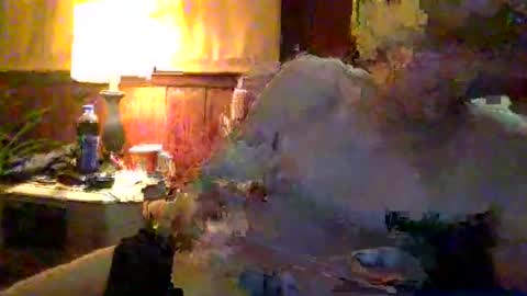 Snapshot of andrewraywv42 chatting on January 9, 2025, 3:36 am rayray32 online show from January 9, 2025, 3:36 am