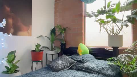 Andy online show from February 5, 2026, 1:05 pm