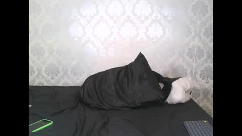 Snapshot of angel_lein chatting on February 11, 2025, 7:59 pm Angel Lein online show from February 11, 2025, 7:59 pm