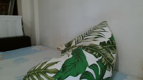 Snapshot of angelicbabexxx chatting on February 19, 2025, 12:57 am Angela online show from February 19, 2025, 12:57 am