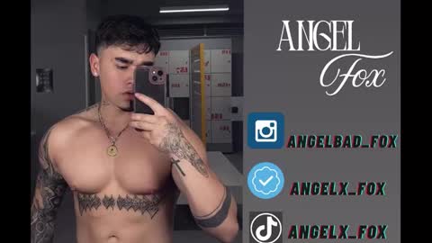 Snapshot of angelx_fox chatting on November 26, 2025, 3:40 am Angel Fox online show from November 26, 2025, 3:40 am