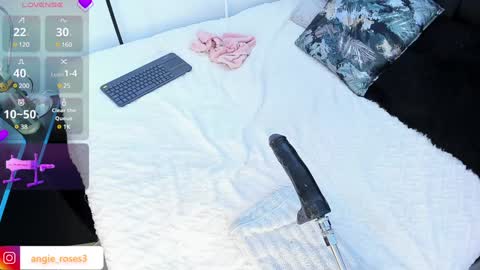 Snapshot of angiee_roses chatting on December 14, 2024, 8:02 am angiee roses online show from December 14, 2024, 8:02 am