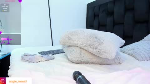 Snapshot of angiee_roses chatting on March 11, 2025, 2:32 am angiee roses online show from March 11, 2025, 2:32 am