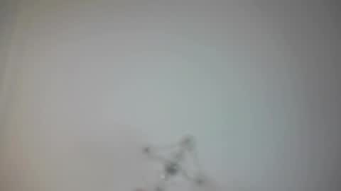 Snapshot of angry_tomato_ chatting on February 19, 2025, 3:16 pm Lera My next stream on November 30 online show from February 19, 2025, 3:16 pm