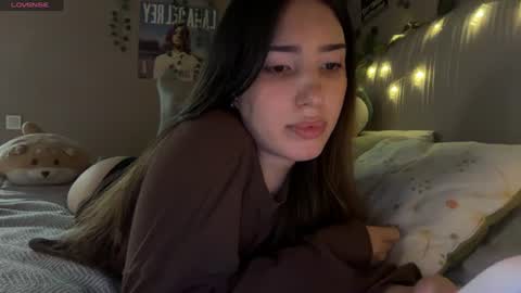 Anisa Moan from LovenseWet from Tip MenuOpen for Private online show from July 26, 2026, 4:58 pm
