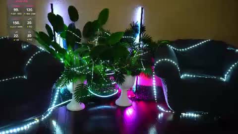 anita_von online show from June 13, 2026, 4:54 am