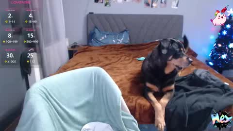 Anadirectgirl online show from December 31, 2024, 10:34 pm