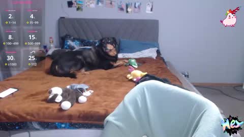 Anadirectgirl online show from February 25, 2025, 7:03 pm