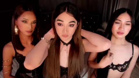Snapshot of annalolaxoxo chatting on May 11, 2026, 11:05 am AshyElliston online show from May 11, 2026, 11:05 am