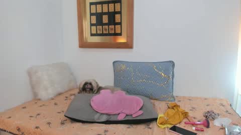 Snapshot of annavalente_ chatting on February 26, 2025, 5:07 pm anna online show from February 26, 2025, 5:07 pm