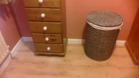 Snapshot of annecharlie chatting on November 16, 2025, 8:42 am annecharlie online show from November 16, 2025, 8:42 am