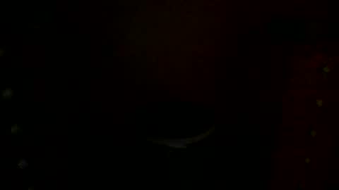 Snapshot of annecharlie chatting on November 30, 2025, 7:56 am annecharlie online show from November 30, 2025, 7:56 am