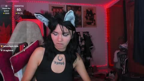 anneharpeer online show from April 7, 2026, 5:41 am