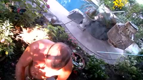 anoaklawnguy online show from September 14, 2025, 3:22 pm