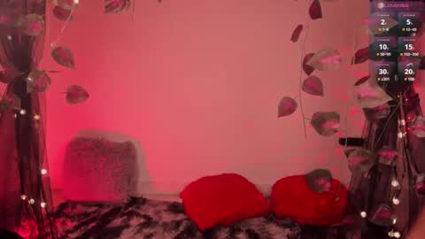 Jordan Mateo online show from January 11, 2025, 3:44 am