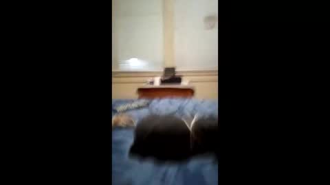 Snapshot of anthonymichael691973668762 chatting on March 3, 2026, 7:14 am anthonymichael691973668762 online show from March 3, 2026, 7:14 am