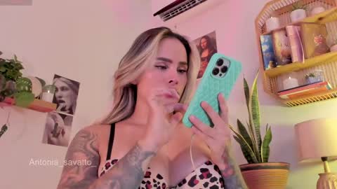 o ANTO online show from April 11, 2026, 9:08 pm