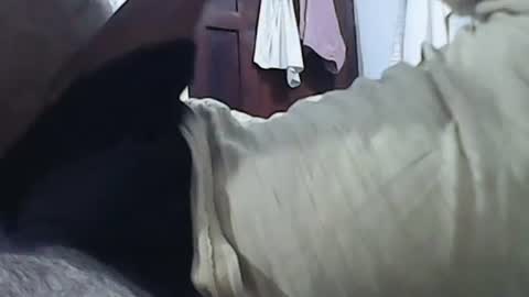 anupam373 online show from January 20, 2025, 2:11 am