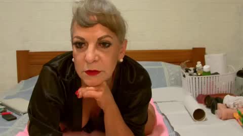 Snapshot of any_cat chatting on December 24, 2024, 8:55 am ANY CAT online show from December 24, 2024, 8:55 am