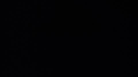 Snapshot of anyname19 chatting on October 10, 2025, 10:20 pm Punk online show from October 10, 2025, 10:20 pm