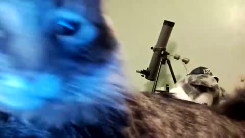 Aphrodite60 online show from January 12, 2025, 6:28 am