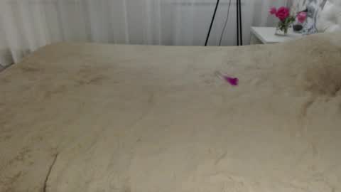 Snapshot of aphrodite83 chatting on September 20, 2025, 8:32 pm Aphrodite online show from September 20, 2025, 8:32 pm