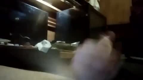 apocolypseanomaly online show from January 3, 2025, 10:52 am