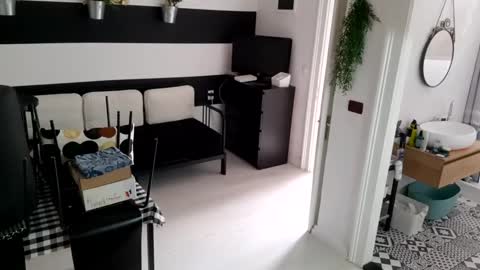 apollobest77 online show from January 19, 2025, 12:17 pm