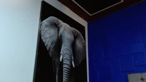 Snapshot of apolo_klein1 chatting on February 11, 2025, 8:48 am Apolo online show from February 11, 2025, 8:48 am