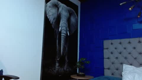 Snapshot of apolo_klein1 chatting on February 14, 2025, 6:56 am Apolo online show from February 14, 2025, 6:56 am