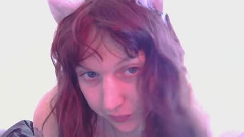 Snapshot of april_kitty chatting on March 31, 2026, 3:08 am april_kitty online show from March 31, 2026, 3:08 am