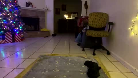 AnnaApril420 online show from December 25, 2024, 1:10 am