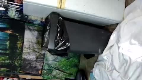 aquafoxxy online show from June 15, 2026, 9:28 pm