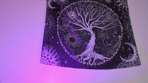 Aram 3 online show from January 27, 2025, 6:41 am