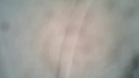 Snapshot of archkeinzas chatting on October 8, 2025, 6:38 pm olo online show from October 8, 2025, 6:38 pm