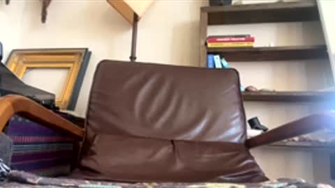 arealjerk69696969 online show from June 10, 2026, 5:56 pm