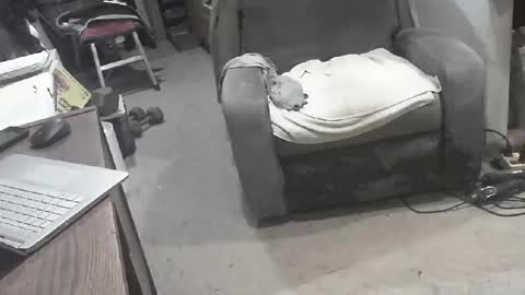 Snapshot of arealshowoff chatting on March 22, 2026, 12:08 pm arealshowoff online show from March 22, 2026, 12:08 pm