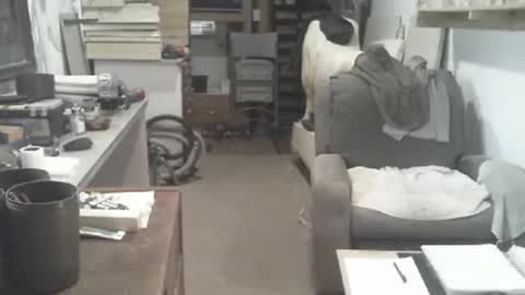 Snapshot of arealshowoff chatting on April 16, 2026, 3:24 pm arealshowoff online show from April 16, 2026, 3:24 pm