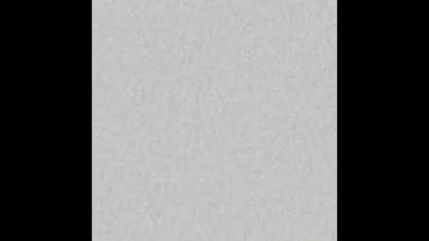 Arianna Collins online show from February 19, 2026, 11:50 am