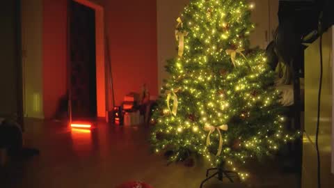 Olivka online show from December 30, 2024, 5:48 am