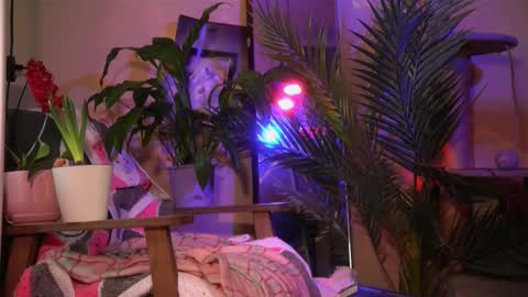 Snapshot of arianna_richi chatting on March 20, 2026, 6:40 am Olivka online show from March 20, 2026, 6:40 am