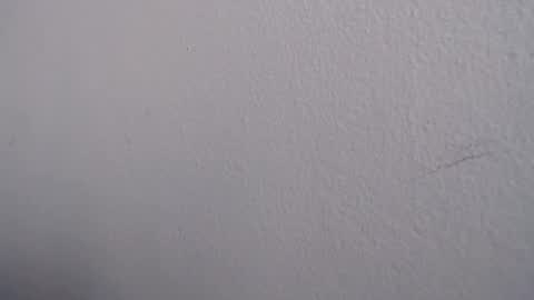 ariannaloovel online show from June 13, 2026, 5:22 pm