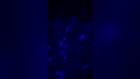 Snapshot of arielanne chatting on July 30, 2026, 3:27 am arielanne online show from July 30, 2026, 3:27 am