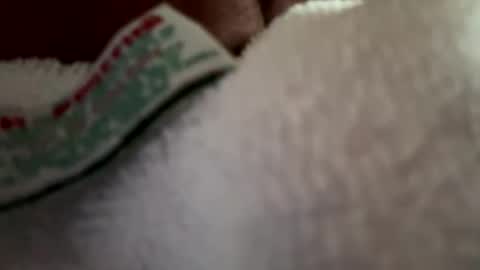 Snapshot of arley1966 chatting on April 2, 2026, 11:46 pm arley1966 online show from April 2, 2026, 11:46 pm