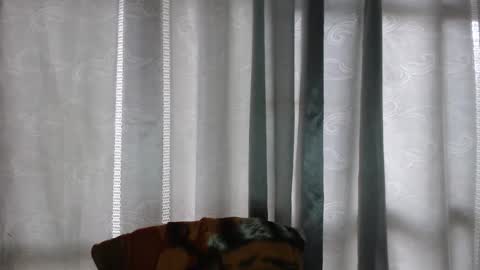 ARMANDO online show from December 16, 2025, 5:07 pm